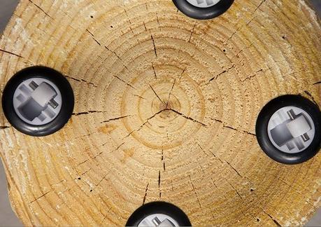 ¡Pon un tronco en tu deco!