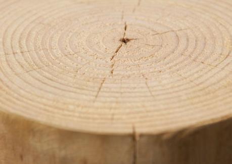 ¡Pon un tronco en tu deco!