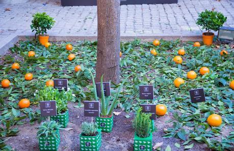 Cosméticos Naturales Que Sorprenderán a Tus Sentidos