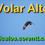 Volar alto