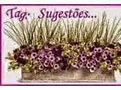 Tag: Sugestoes