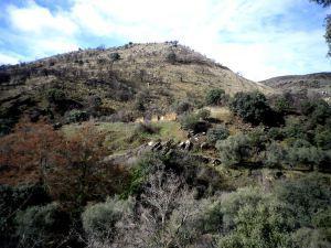 Otros campamentos del Canal del Jarama En el camino de la Hoz