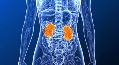 Patología Renal asociada a la Práctica Deportiva