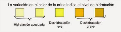 Patología Renal asociada a la Práctica Deportiva