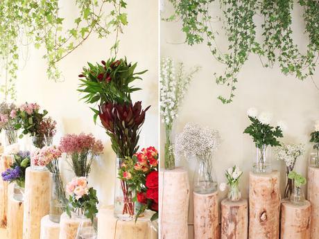 QUEDAMOS EN UNA FLORISTERÍA!!