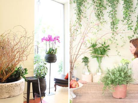 QUEDAMOS EN UNA FLORISTERÍA!!