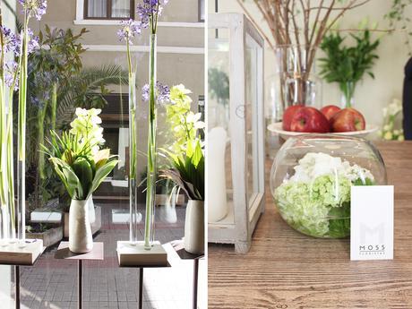 QUEDAMOS EN UNA FLORISTERÍA!!