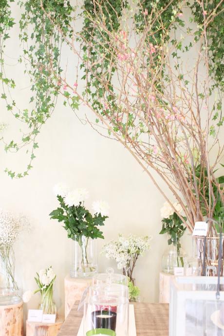 QUEDAMOS EN UNA FLORISTERÍA!!