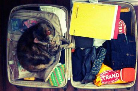 1001742_10151697782668138_1135841173_n