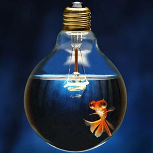 Mejorar es un Camino Creativo