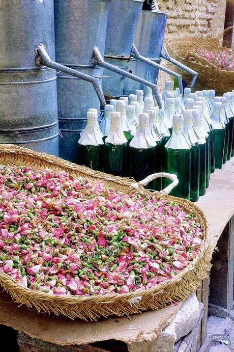 quedamos en una floristería