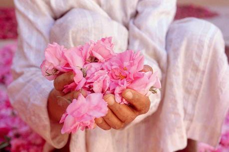 quedamos en una floristería