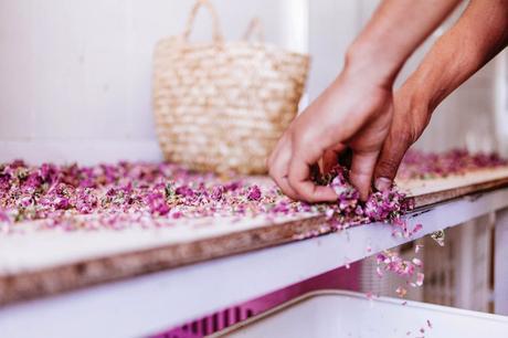 quedamos en una floristería