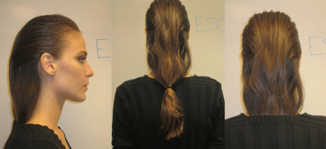 escorpion coleta baja