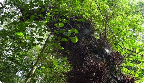 La Reserva Natural Formosa sorprende por la belleza de sus contrastes naturales.