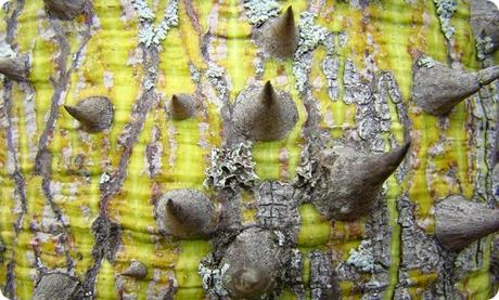 La Reserva Natural Formosa sorprende por la belleza de sus contrastes naturales.