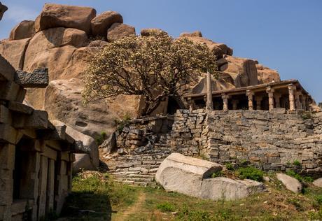 Árboles en flor entre las ruinas y el calor