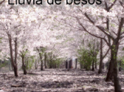 Cerezos flor