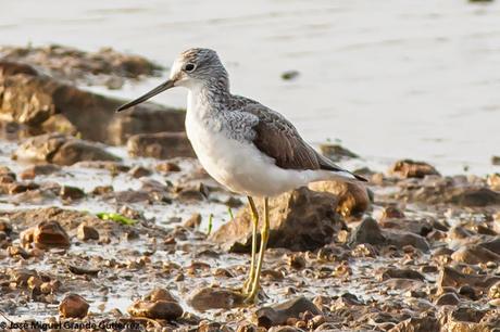 POR EL DELTA DEL EBRO Y LA COSTA DE TARRAGONA PARTE 1ª