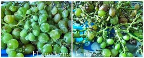 Mermelada Extra de Uvas Moscatel