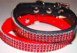 Dogsinthecity - Boutique canina