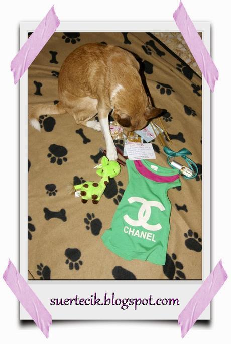 Dogsinthecity - Boutique canina