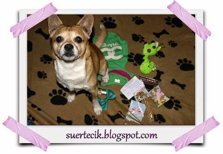 Dogsinthecity - Boutique canina