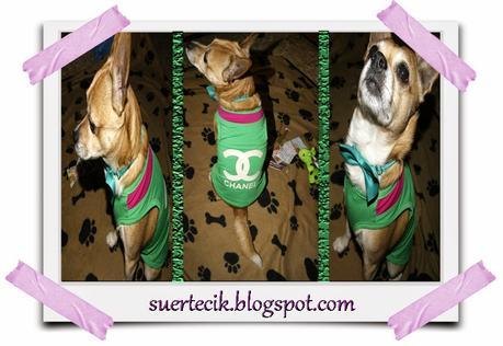 Dogsinthecity - Boutique canina