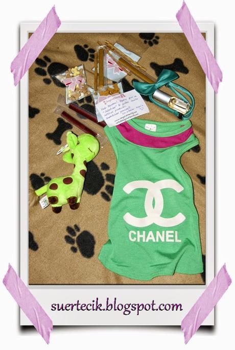 Dogsinthecity - Boutique canina