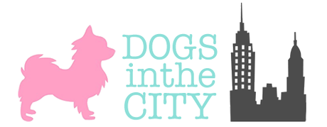 Dogsinthecity - Boutique canina