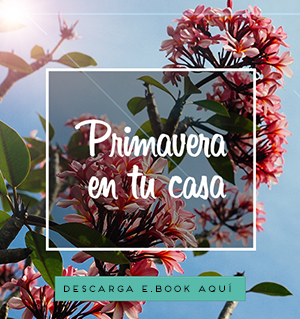 DESCARGA GRATIS  | Presume de primavera con Westwing