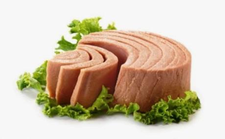 DIETA DEL ATUN Y PIÑA