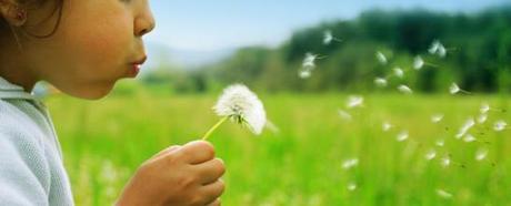 alergia-polen-remedios-plantas