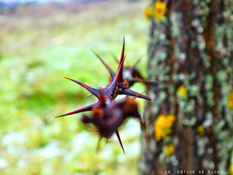 Adiós invierno. Hola primavera.