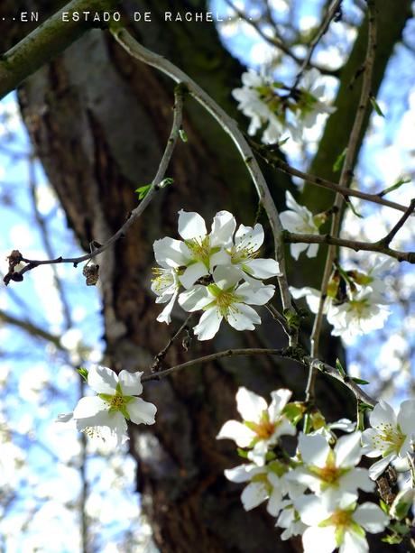 Adiós invierno. Hola primavera.