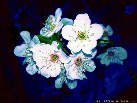 Adiós invierno. Hola primavera.