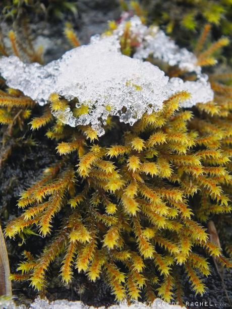 Adiós invierno. Hola primavera.