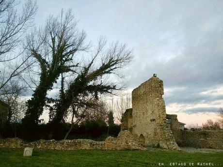 Adiós invierno. Hola primavera.