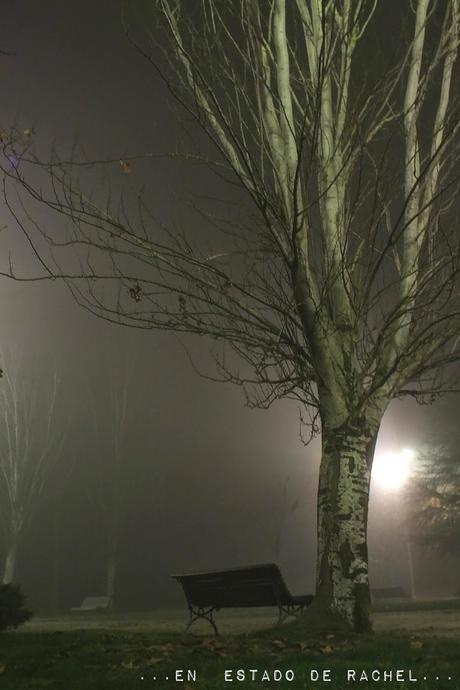 Adiós invierno. Hola primavera.