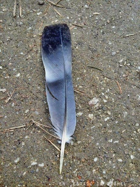 Adiós invierno. Hola primavera.