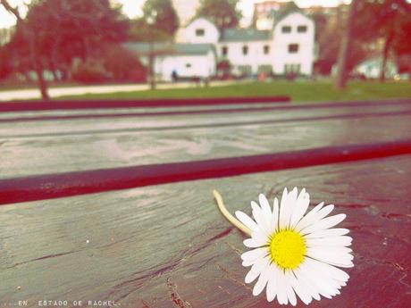 Adiós invierno. Hola primavera.