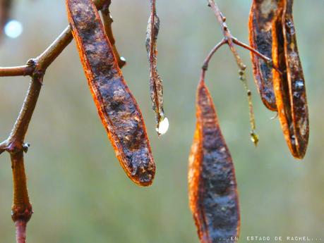 Adiós invierno. Hola primavera.