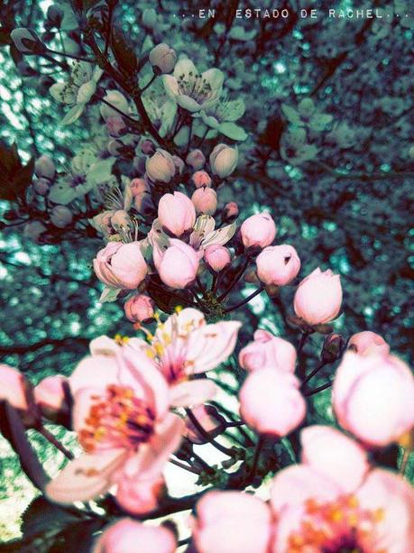 Adiós invierno. Hola primavera.