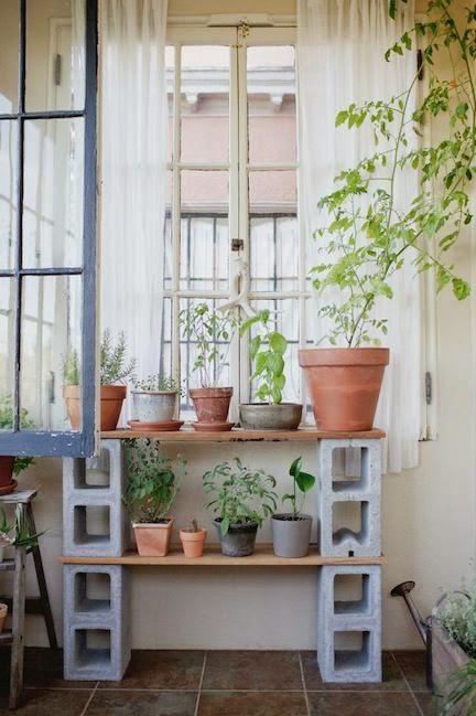 Plantas en macetas de barro.