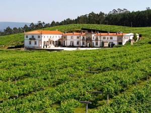 vino-viña-bodega-rias-baixas-denominacion-origen-saboreando