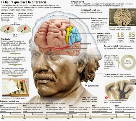 EL CEREBRO DE EINSTEIN