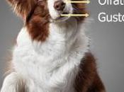 ¿Conoces Sexto sentido Perro?