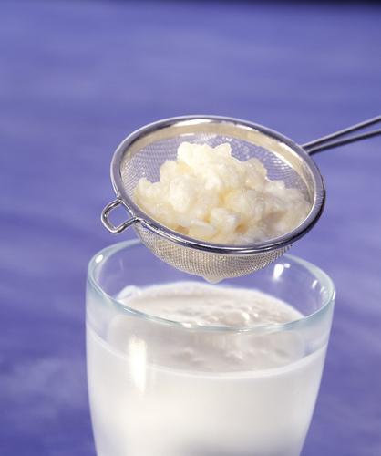 Propiedades y beneficios saludables del kéfir