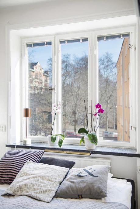 Distribuir un apartamento de 38m2