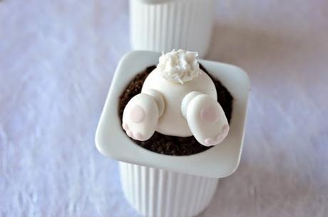 Petit Suisse de Pascua